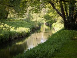 2019_05_11_15_59_57_img_2037-444